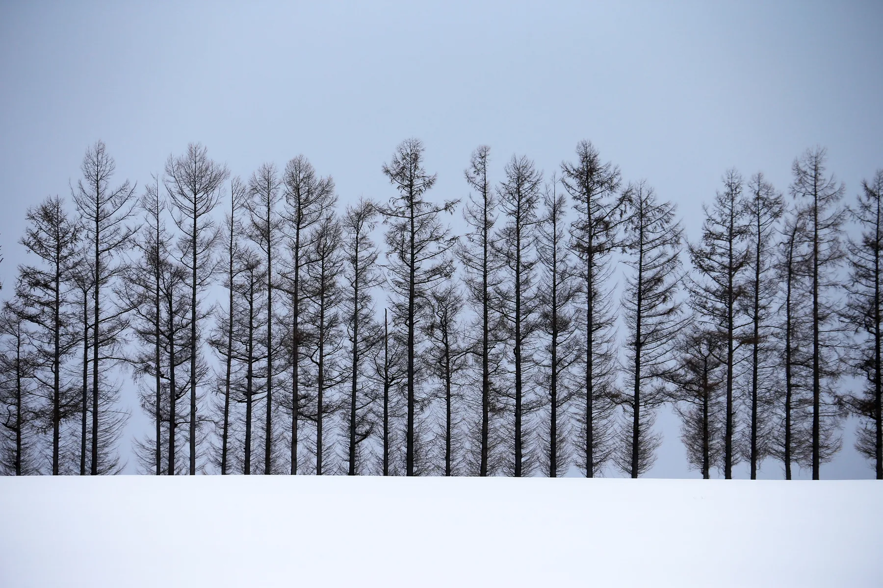 Hokkaido Before the Snow