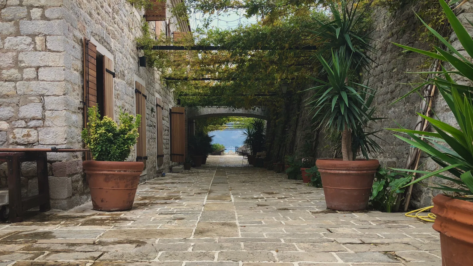 A stone terrace with potted plants