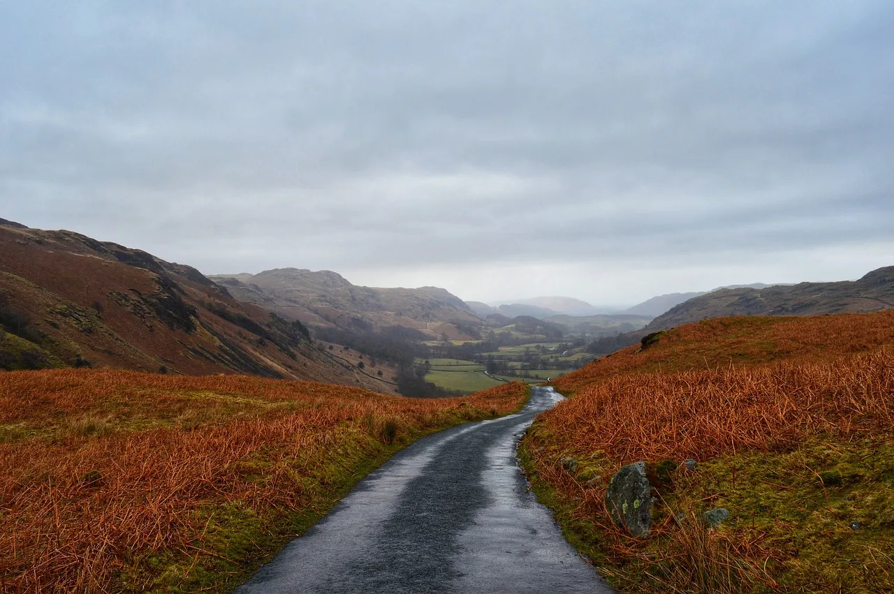 Notes From a Wet Road